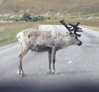 Svar