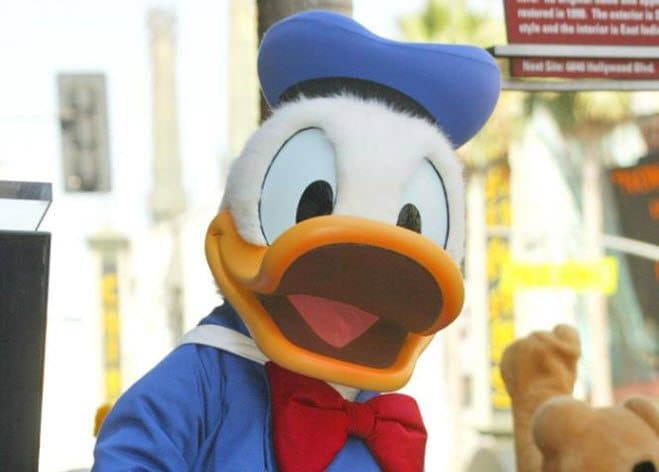 Hva kan du om Donald Duck - for juniorer