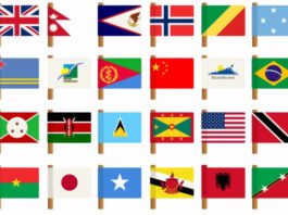 10 enkle flagg