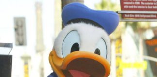 Hva kan du om Donald Duck